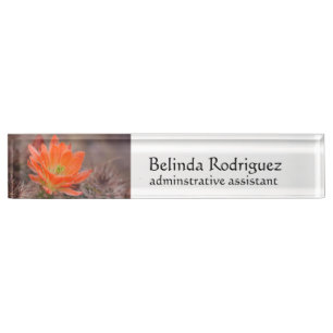 Bloom in Orange Nameplate