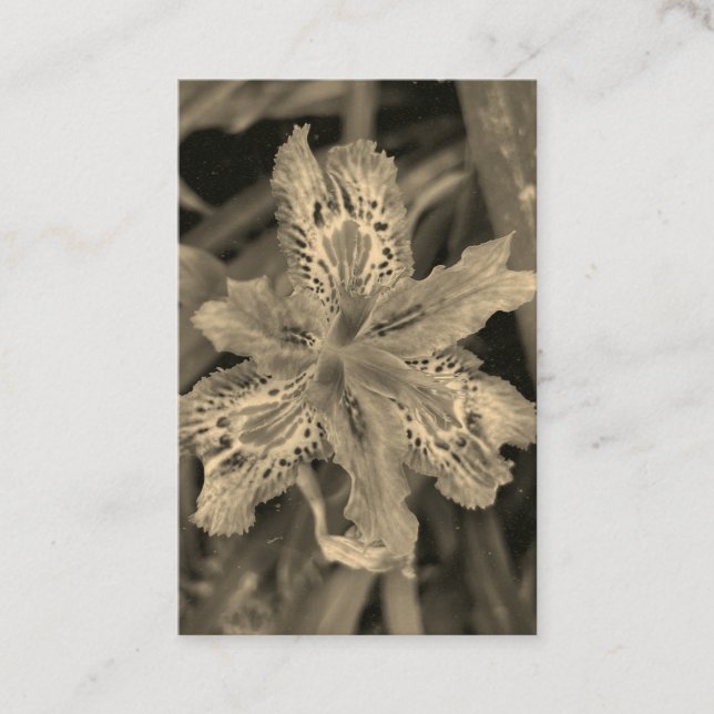 bloom in purple  business card (Front)