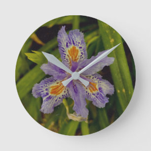 bloom in purple  round clock