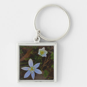 bloom in white key ring