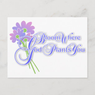 Bloom Where God Plants You 2 Postcard