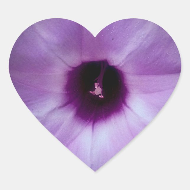 Bloom Where Planted Sticker (Front)