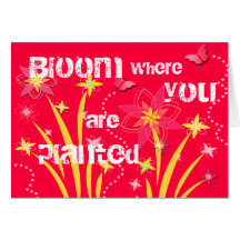 Bloom where you are planted