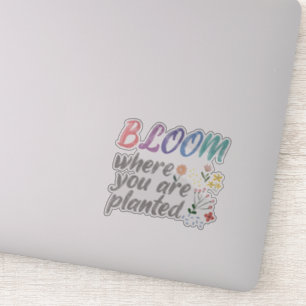 Bloom Where you are Planted
