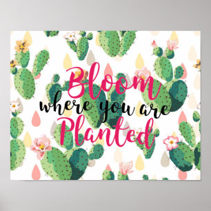 Bloom Where You Are Planted Cactus Print Poster