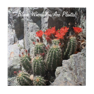 Bloom Where You Are Planted Ceramic Tile