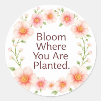 Bloom Where You Are Planted Floral Quote Classic  Round Sticker