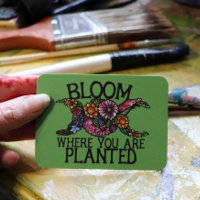 Bloom where you are planted