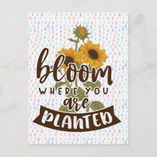 Bloom Where You Are Planted Postcard