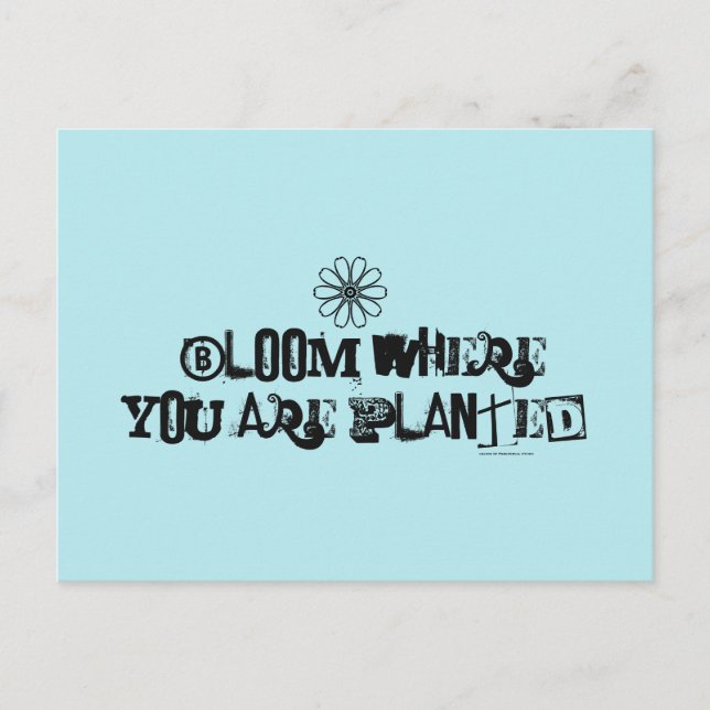Bloom where you are planted. postcard (Front)