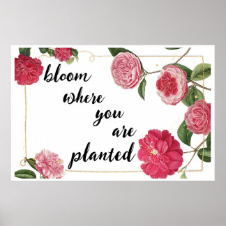 Bloom Where you are planted Poster