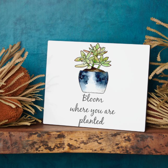 Bloom Where You Are Planted Succulent Plaque (Side)