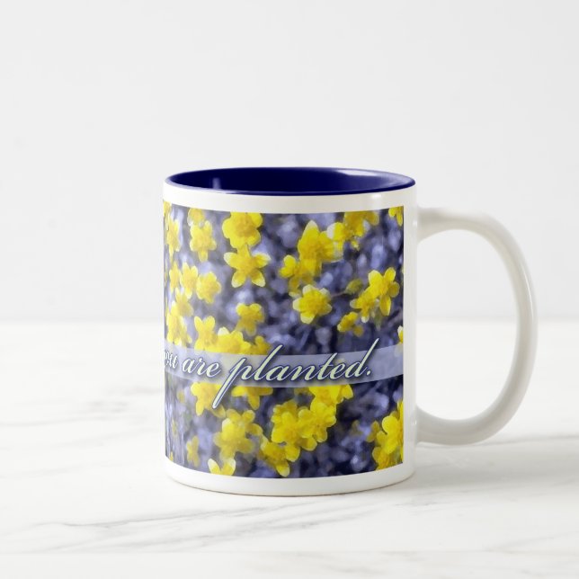 Bloom Where You Are Planted, Yellow Wildflowers Two-Tone Coffee Mug (Right)