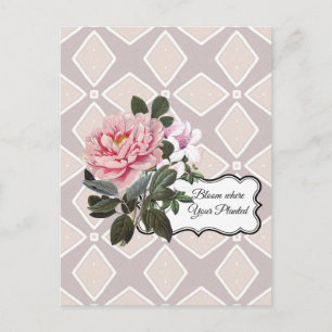 Bloom Where Your Planted Geometric Postcard