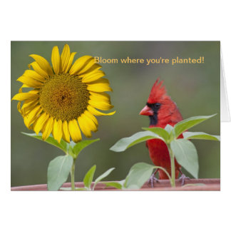 Bloom where you're planted!