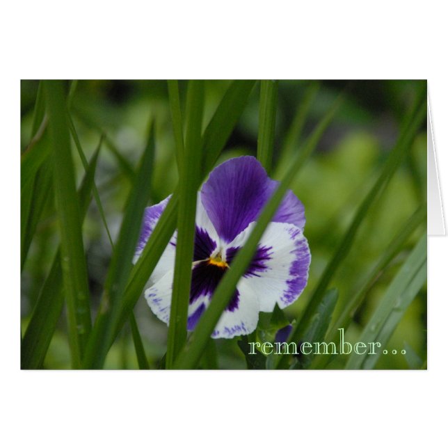 bloom where you're planted... (Front Horizontal)