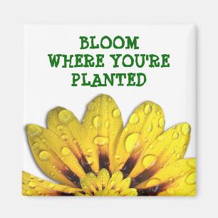 Bloom where you're Planted Magnet