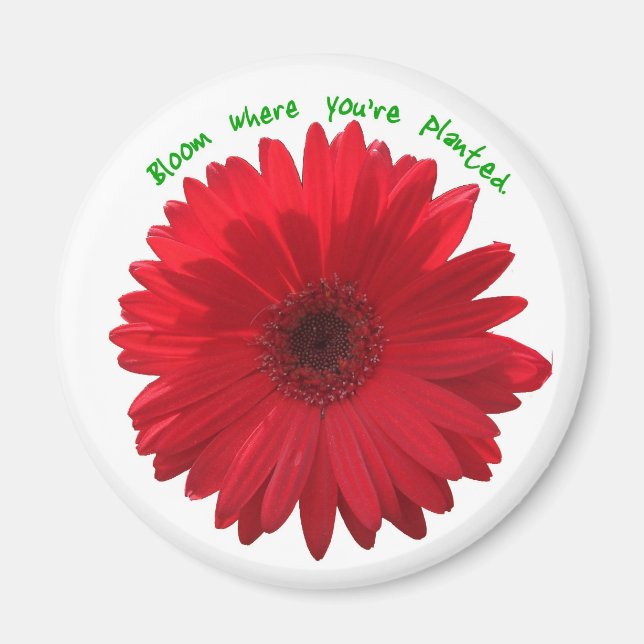 Bloom where you're planted magnet (Front)