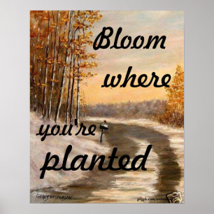 "BLOOM WHERE YOU'RE PLANTED POSTER