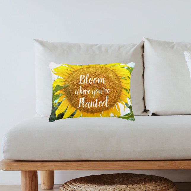 Bloom Where You're Planted Quote Sunflower Decorative Cushion (In Situ Sofa)