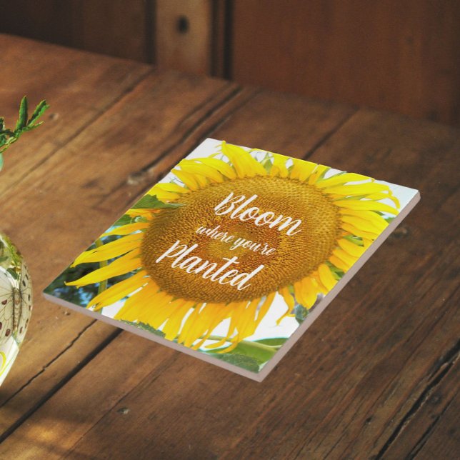 Bloom Where You're Planted Yellow Sunflower Ceramic Tile (In Situ)