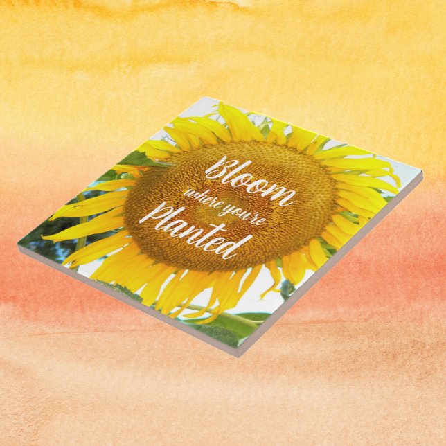 Bloom Where You're Planted Yellow Sunflower Ceramic Tile (In Situ)