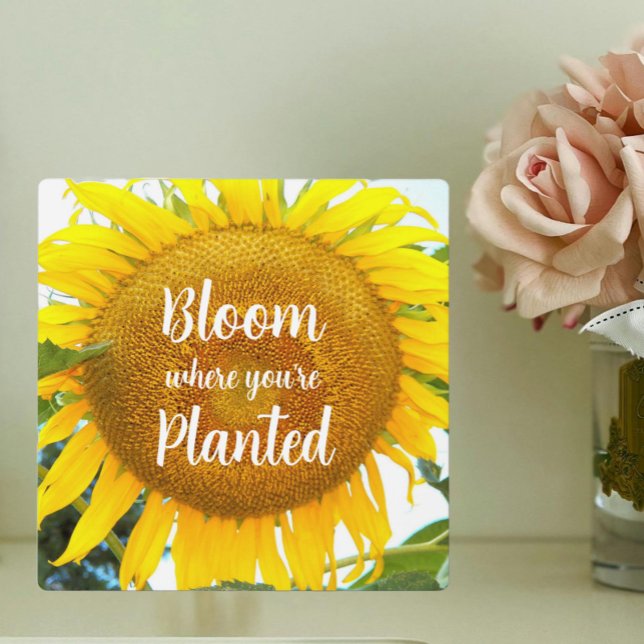 Bloom Where You're Planted Yellow Sunflower Plaque (In Situ Front)