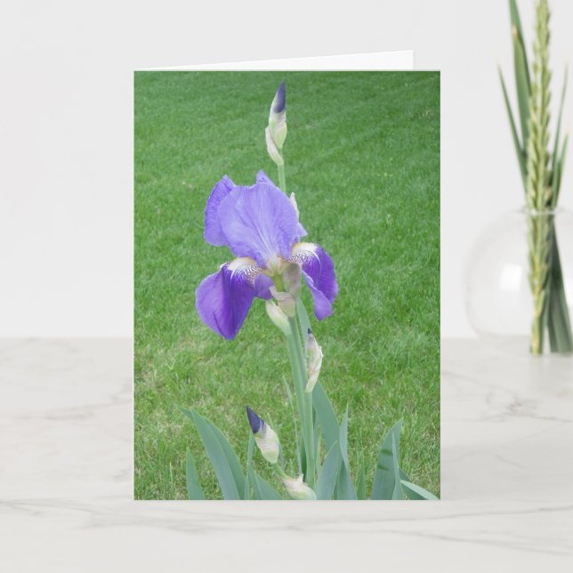 Bloom With Abundance Card (Front)