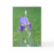 Bloom With Abundance Card