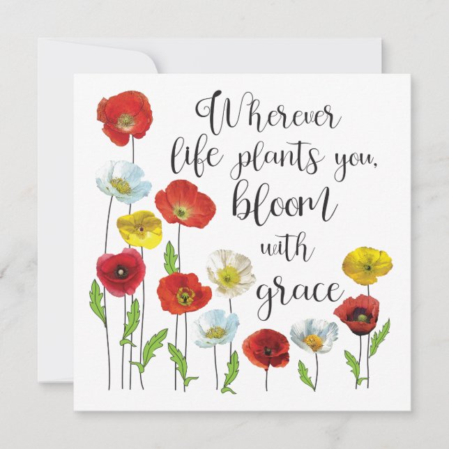 Bloom with grace-Poppy flowers  (Front)