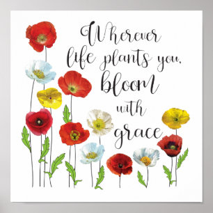 Bloom with grace-Poppy flowers Poster