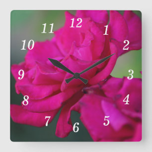 Bloomed Pink Rose Wall Clock