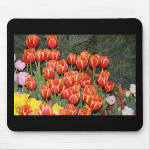 Bloomin' Tulips! Mouse Pad
