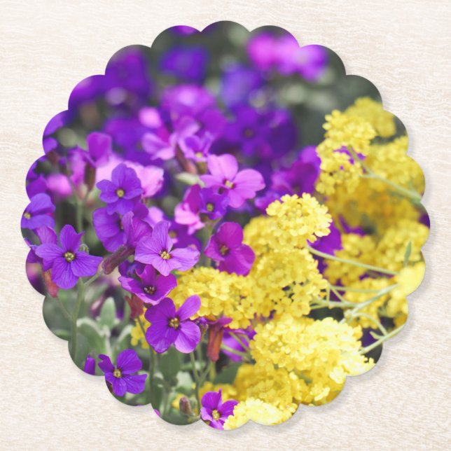 Blooming Beauties  Paper Coaster (Front)