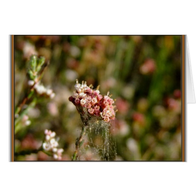 Blooming beautiful (Front Horizontal)