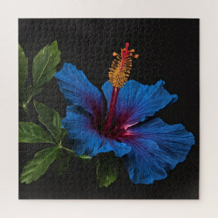 Blooming Blue Hibiscus Flower, Jigsaw Puzzle