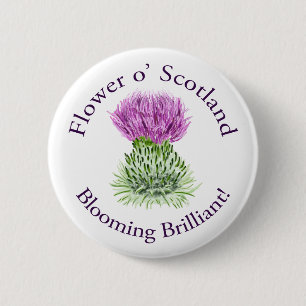 Blooming Brilliant Scottish Thistle 6 Cm Round Badge