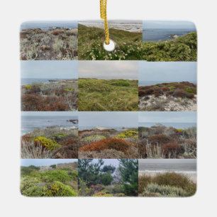 Blooming-by-the-Sea: Asilomar Ceramic Ornament