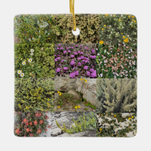 Blooming-by-the-Sea: Asilomar Ceramic Ornament