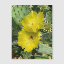 Blooming Cactus Flowers Magnet