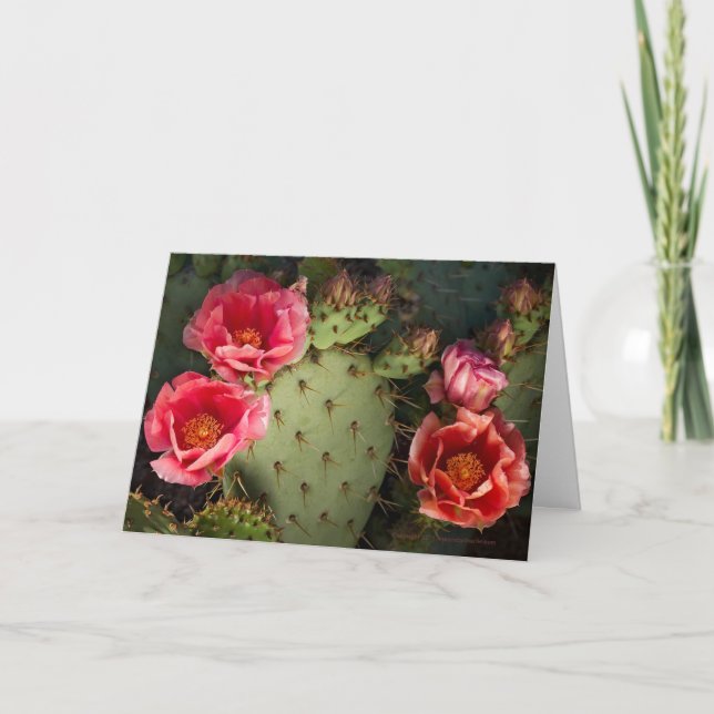 Blooming Cactus Personalised Greeting Card (Front)