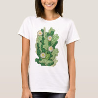 Blooming Cactus Succulent Cacti Green Khaki Olive