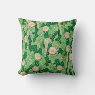 Blooming cactus, succulents, white flowers, green cushion