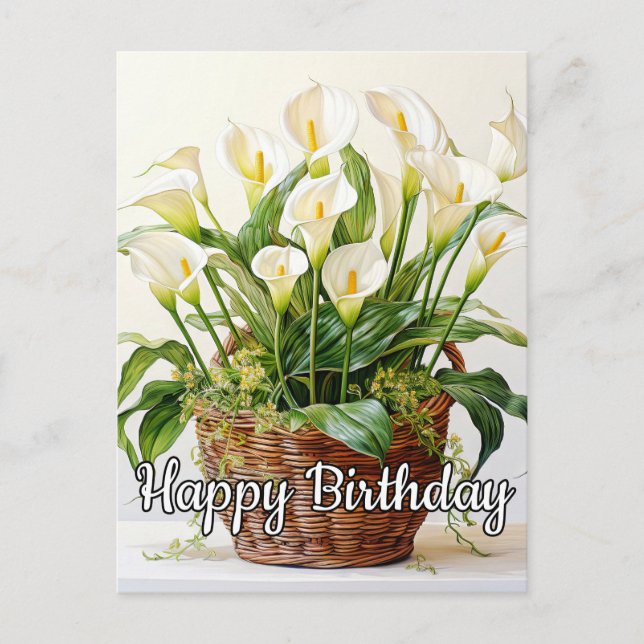 Blooming Calla Lily Flowers Postcard (Front)