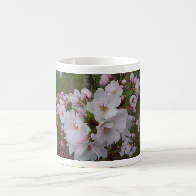 Blooming Cherry Blossoms Coffee Mug (Center)