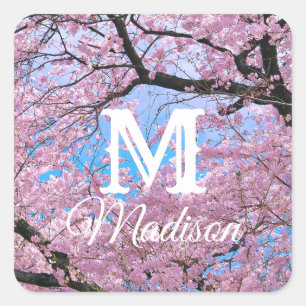 Blooming Cherry Blossoms Square Sticker