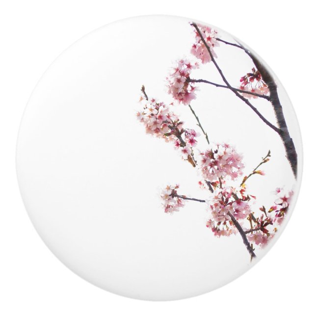 Blooming Cherry tree Ceramic Knob (Front)