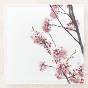 Blooming Cherry Tree Glass Coaster