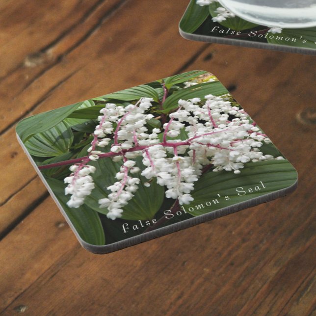 Blooming False Solomon's Seal Plant Floral Coaster (In Situ)