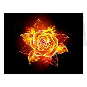 Blooming Fire Rose